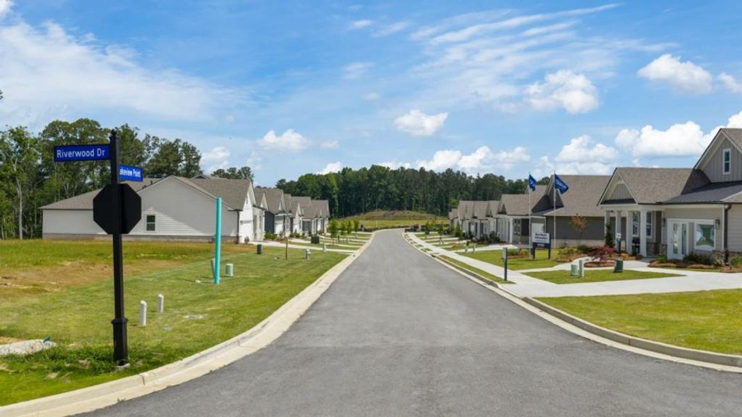 Image 75 of a home in Hamptons at Riverwood North.