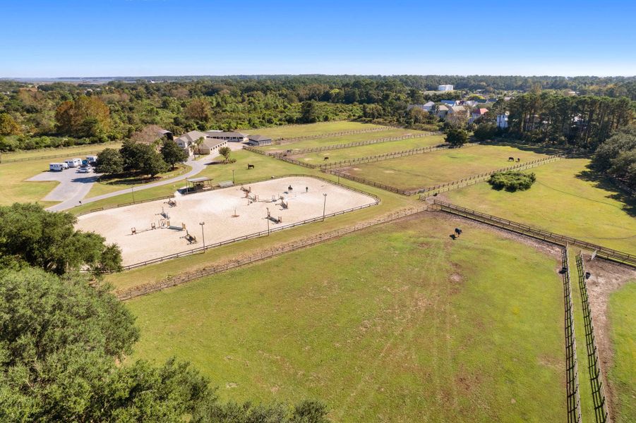 Site preparation for new homesites in , Seabrook Island (Image 62).