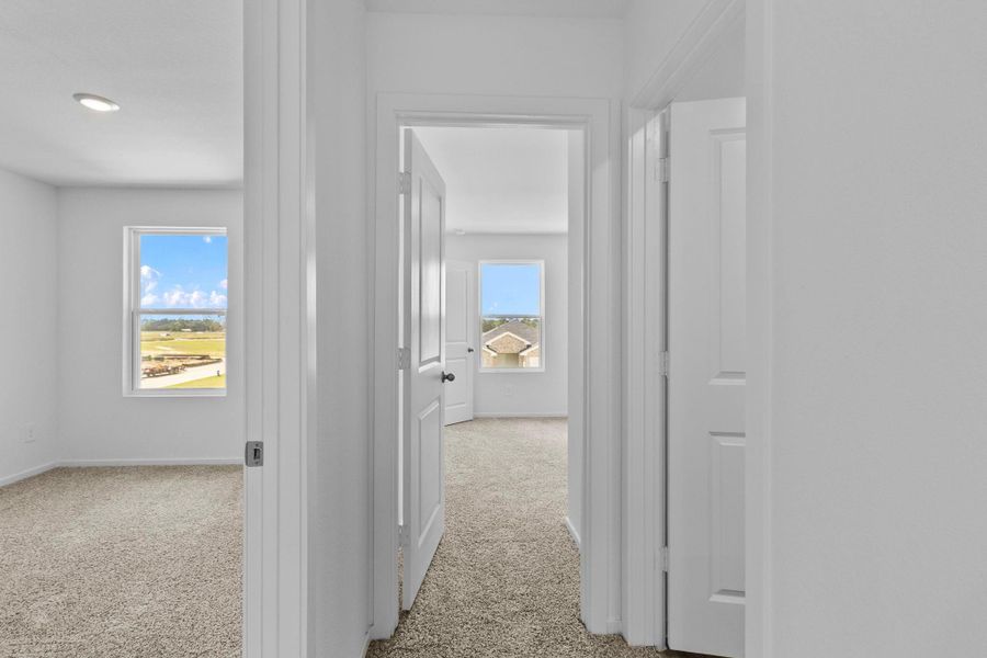 Spacious, unfurnished interior of a new home in Maple Woods, Hockley (Image 28). Spacious, unfurnished interior of a new home in Maple Woods, Hockley (Image 28).