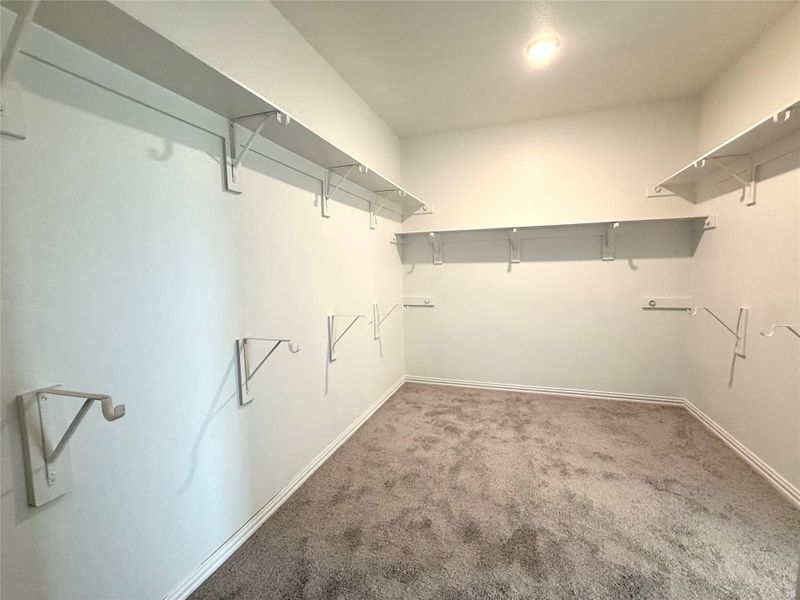 Walk in closet with carpet Walk in closet with carpet