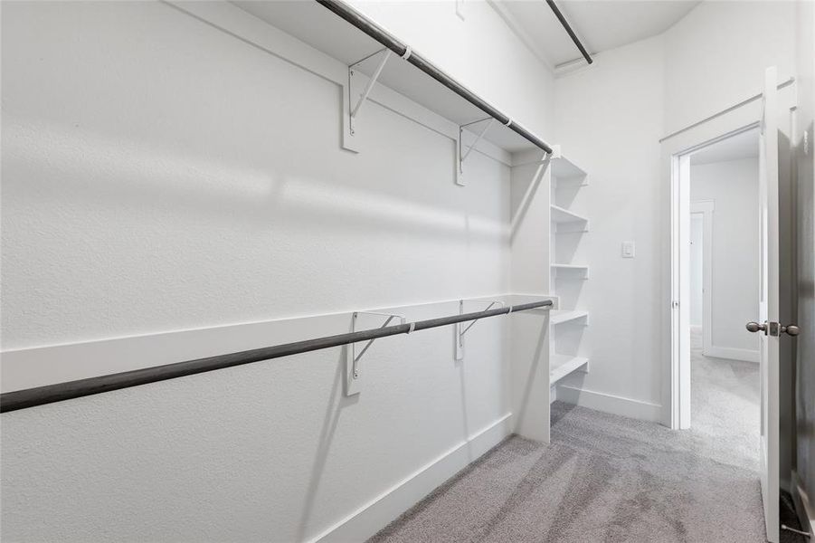 Walk-in closet featuring built-in shelving, hanging rods, and carpeted flooring