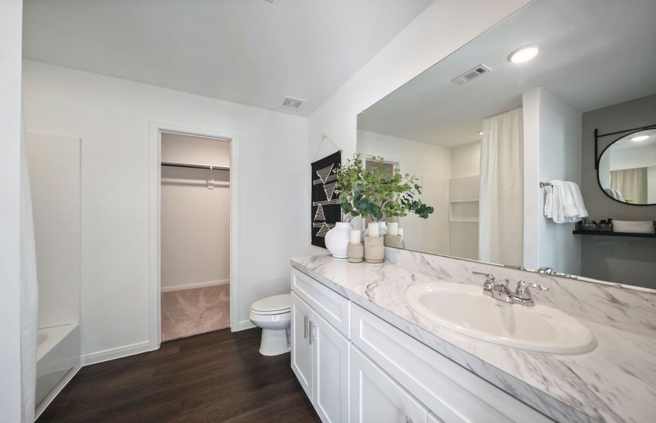 Extended Vanity in Owner's Bath