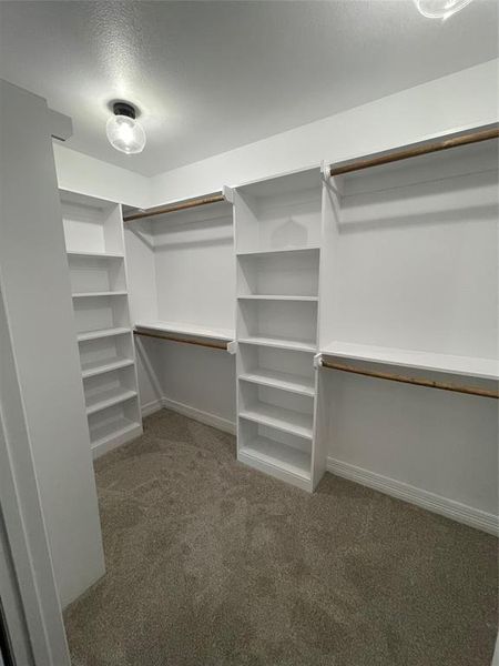 Walk in closet with carpet flooring