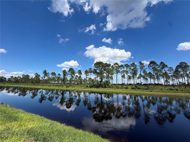Natural landscape and outdoor views near Lake Deer Estates - Signature Series in Poinciana (Image 13).