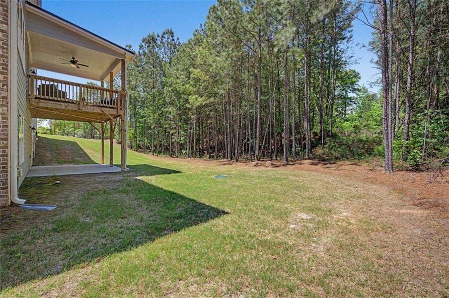 Exterior details and patio area of a home in The Estates at Hurricane Pointe, Douglasville (Image 28).