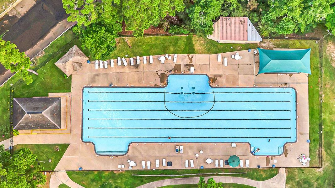 Community pool available to Elkins Lake residents.