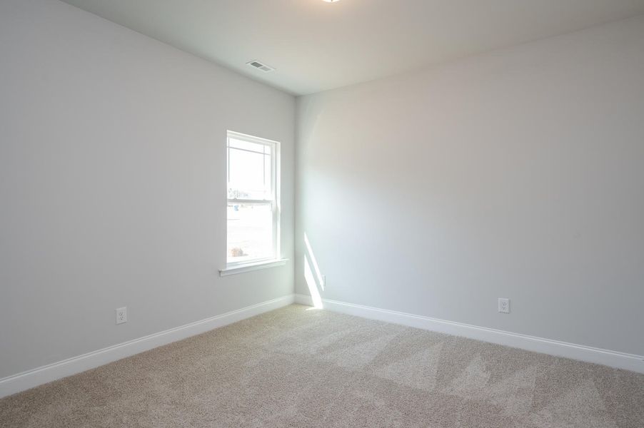 Spacious, unfurnished interior of a new home in Blossom Grove, Milton (Image 18).