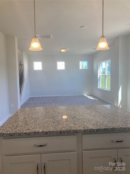 Furnished interior view inside a new home in Catawba Trace, Catawba (Image 3).