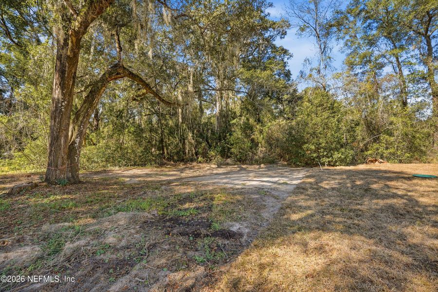 Natural landscape and outdoor views near  in Jacksonville (Image 34).