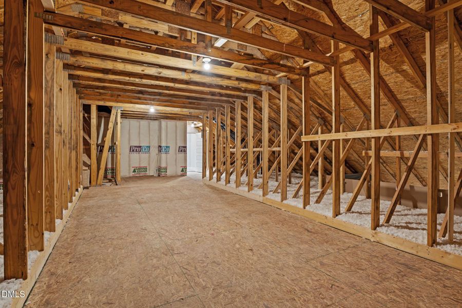 47-web-or-mls-DSC09599