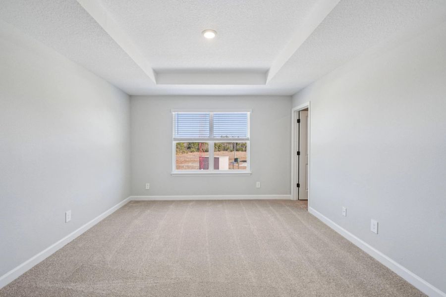 Generous primary suite features a tray ceiling and expansive windows