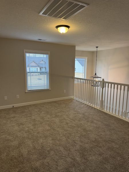 Spacious, unfurnished interior of a new home in Ballentine Ridge, Lyman (Image 24).