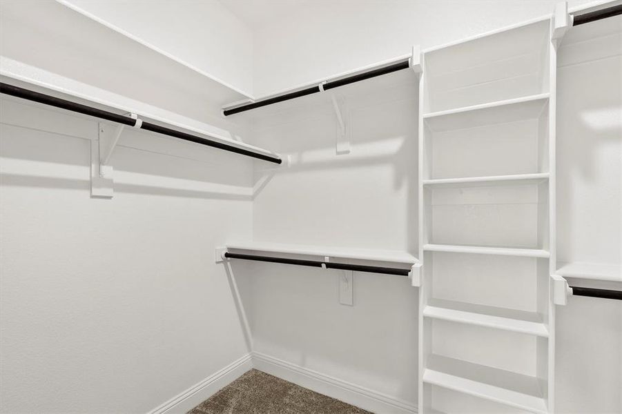 Walk in closet featuring carpet floors