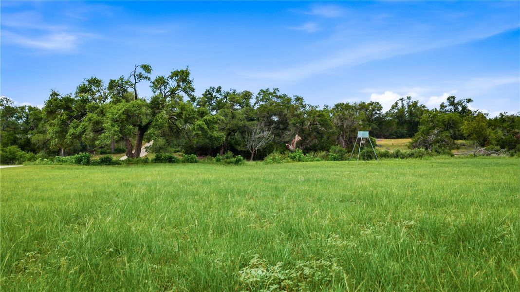 Natural landscape and outdoor views near  in San Marcos (Image 28).