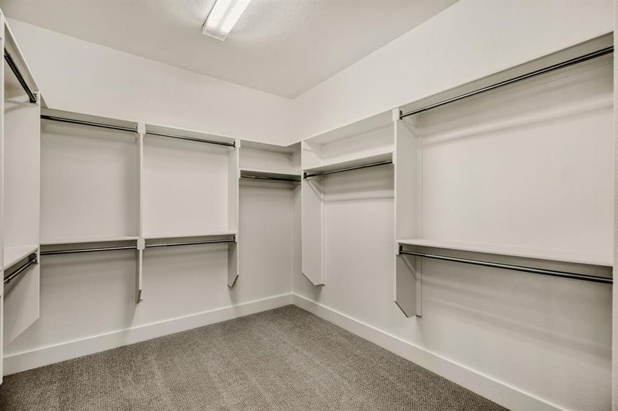 Walk in closet with light colored carpet