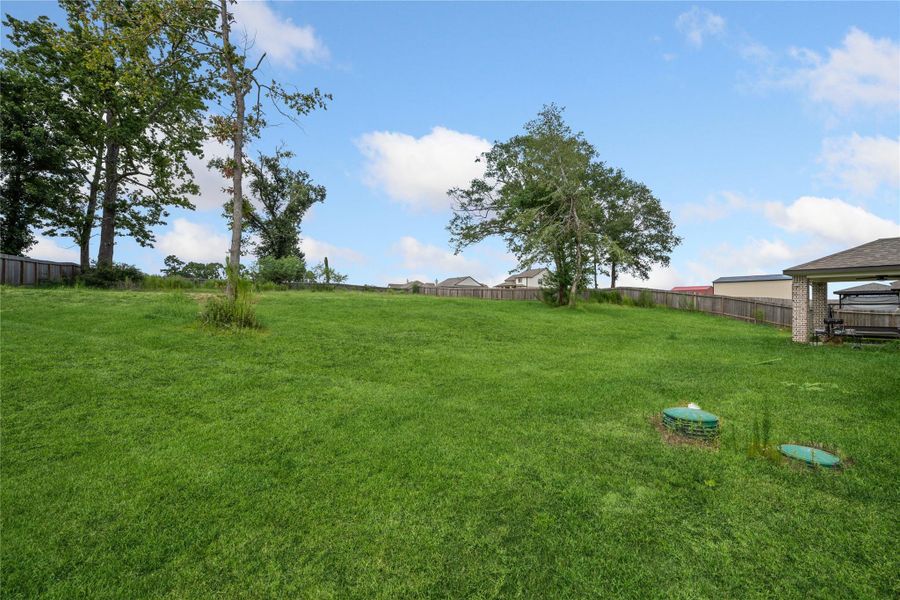 Natural landscape and outdoor views near  in Willis (Image 17).