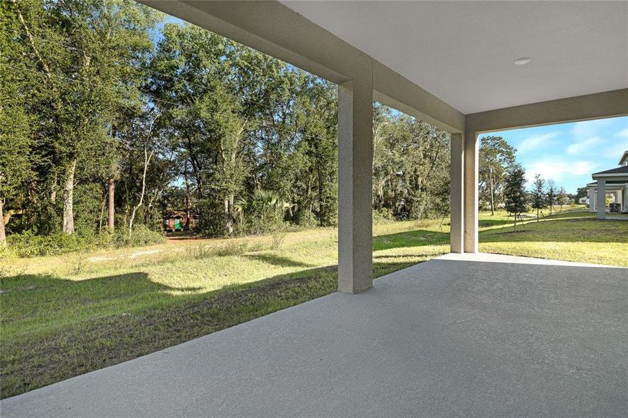 Exterior details and patio area of a home in Seasons at Wekiva Ridge, Mount Dora (Image 3).