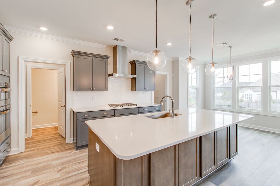 Furnished interior view inside a new home in Palmetto Shores, Chapin (Image 8).