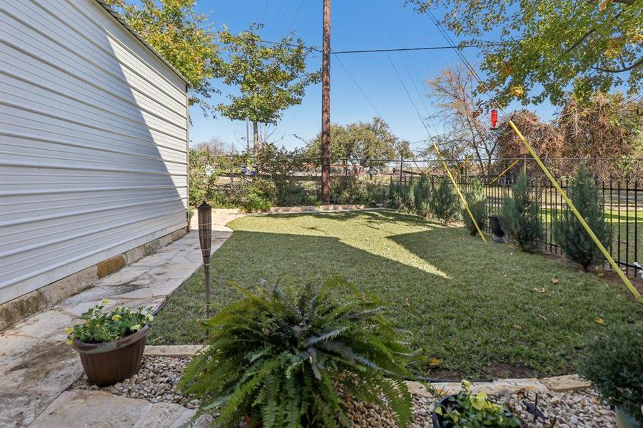 Fenced back yard Fenced back yard