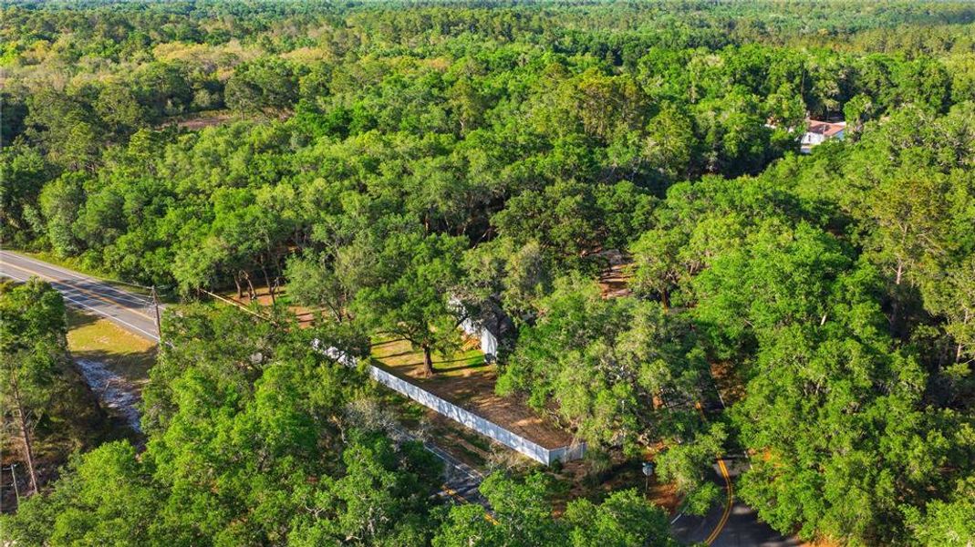 Natural landscape and outdoor views near  in Ocklawaha (Image 23).
