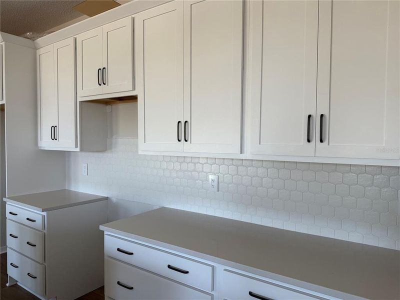 In-progress construction of a new home in Oakfield Trails Traditional, Parrish, FL (Image 17).