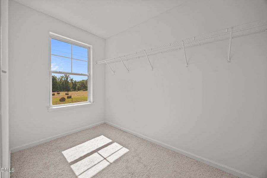 30-web-or-mls-6S8A4060