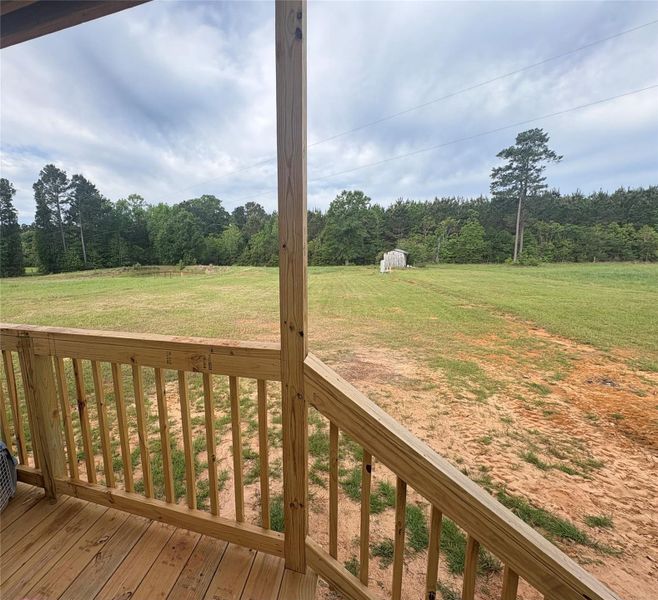 Back deck (also metal roof)