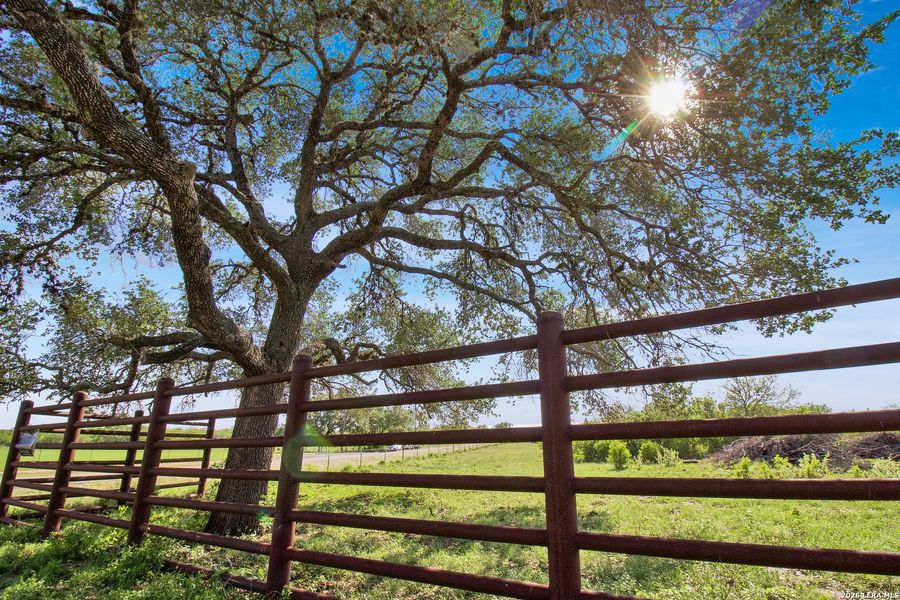 Natural landscape and outdoor views near  in Beeville (Image 17).
