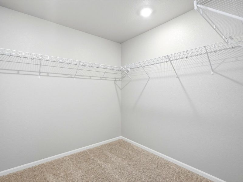 Spacious, unfurnished interior of a new home in Lorson Ranch : The Springs Collection, Colorado Springs (Image 17). Spacious, unfurnished interior of a new home in Lorson Ranch : The Springs Collection, Colorado Springs (Image 17).