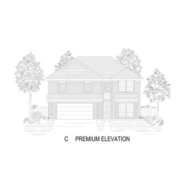 C Elevation