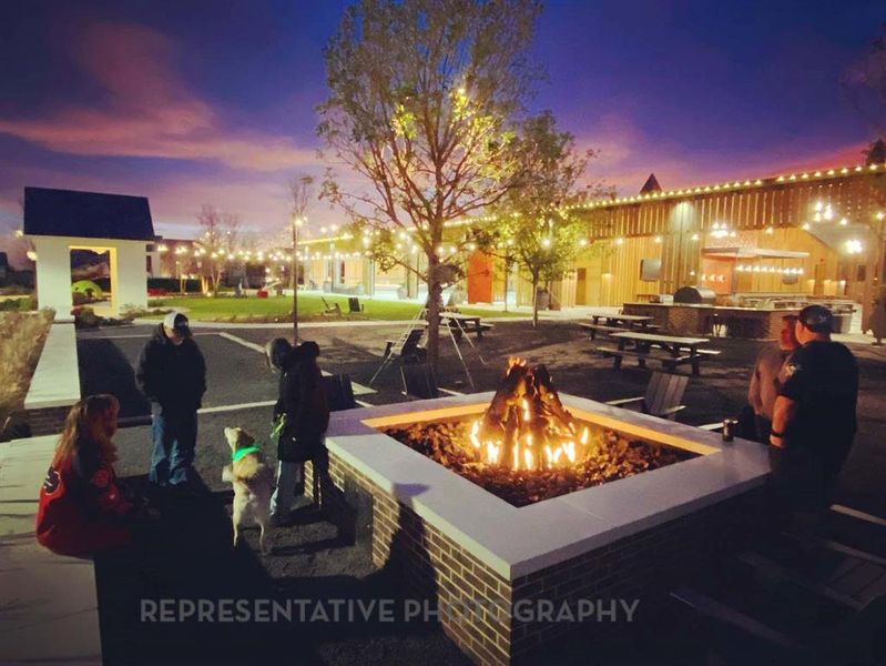 Image 17 of a home in Pecan Square: 50ft. lots.