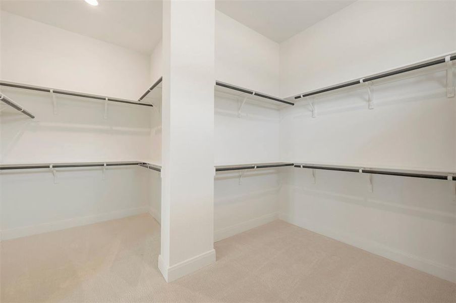 Spacious walk-in closet featuring white walls, light-colored carpeting, multiple shelving units, and clothing rods