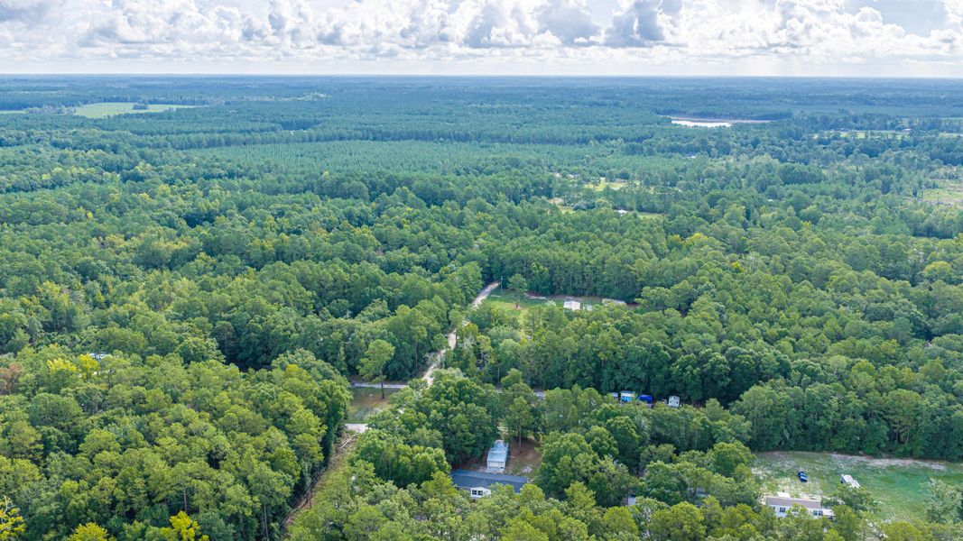 Natural landscape and outdoor views near  in Walterboro (Image 64).
