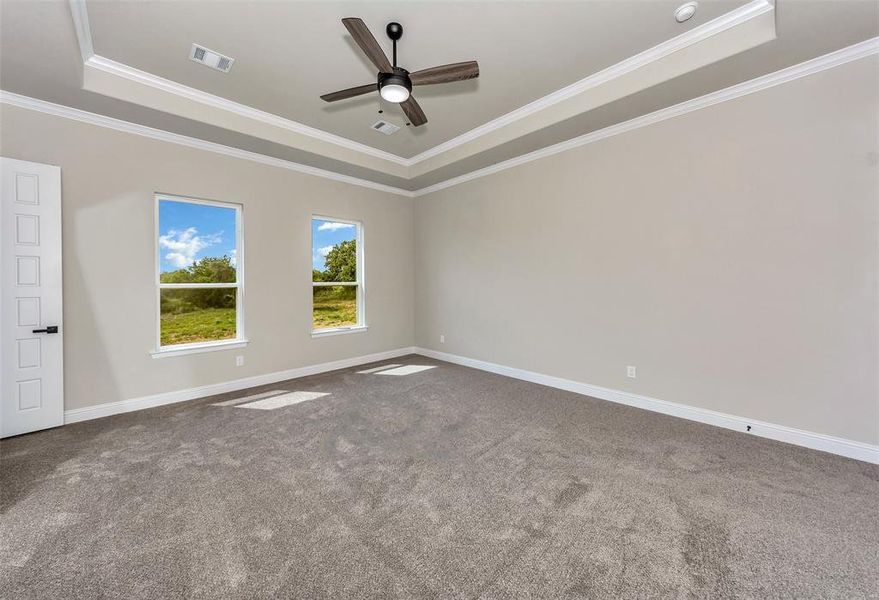 Unfurnished room with ceiling fan, carpet flooring, ornamental molding, and a tray ceiling