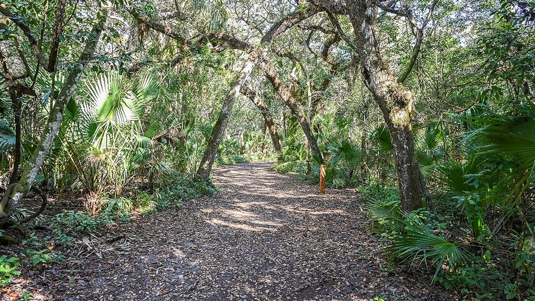 Natural landscape and outdoor views near Colbert Landings in Palm Coast (Image 85).