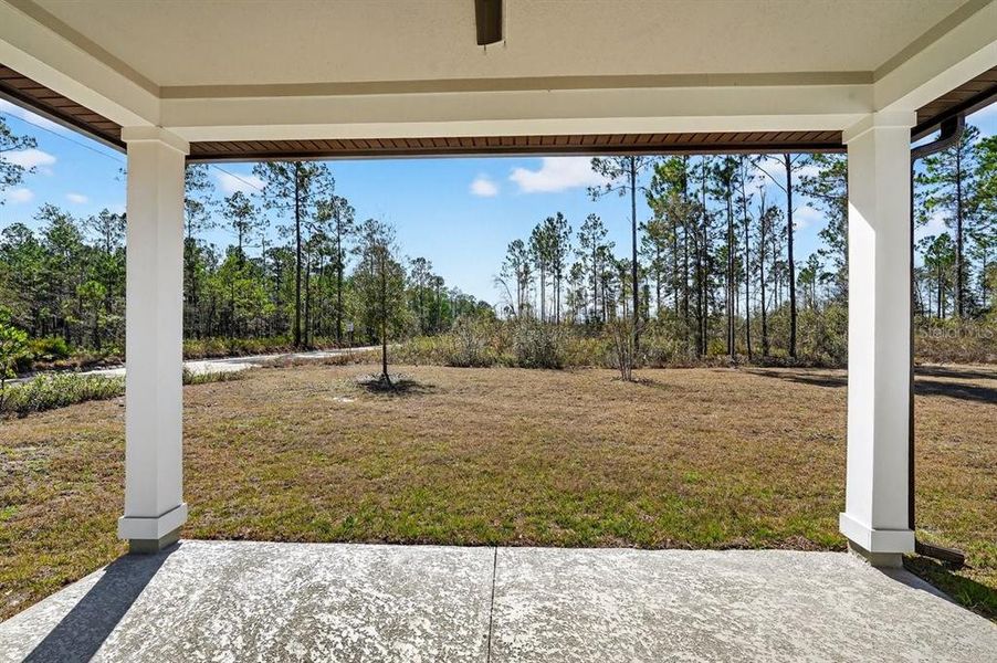 Exterior details and patio area of a home in Stables at Cary Forest, Bryceville (Image 25).