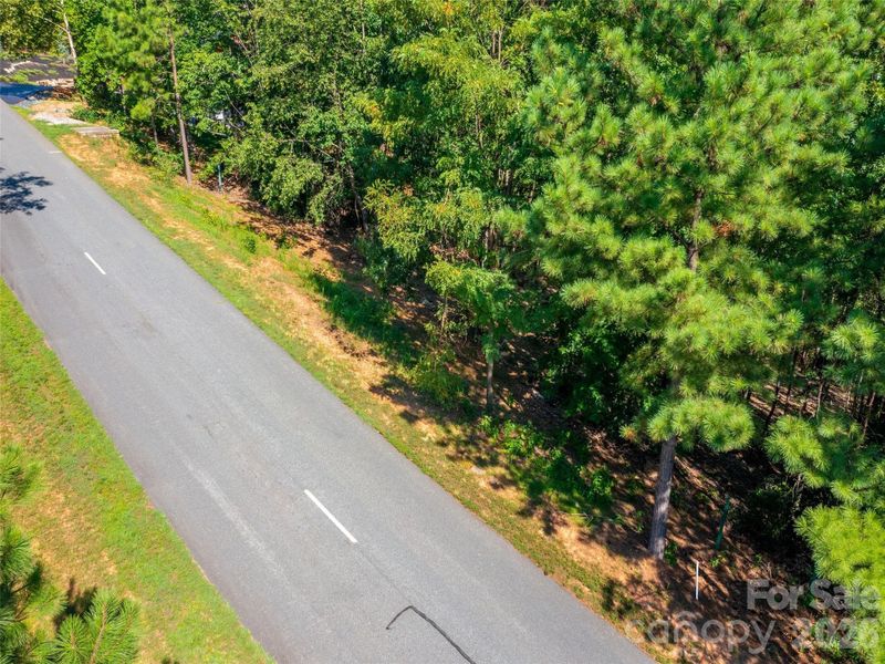 Natural landscape and outdoor views near  in Mill Spring (Image 28).