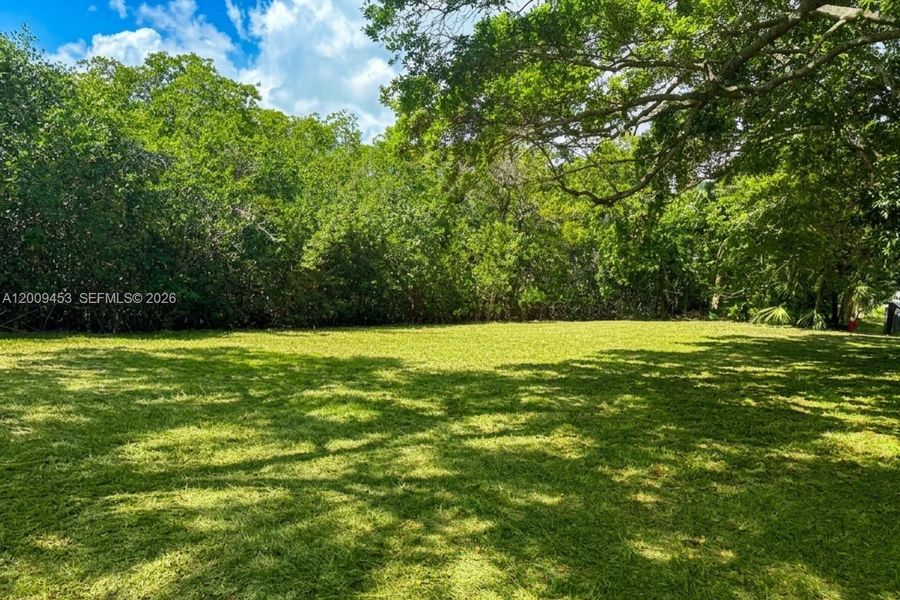 Natural landscape and outdoor views near  in Jupiter (Image 5).
