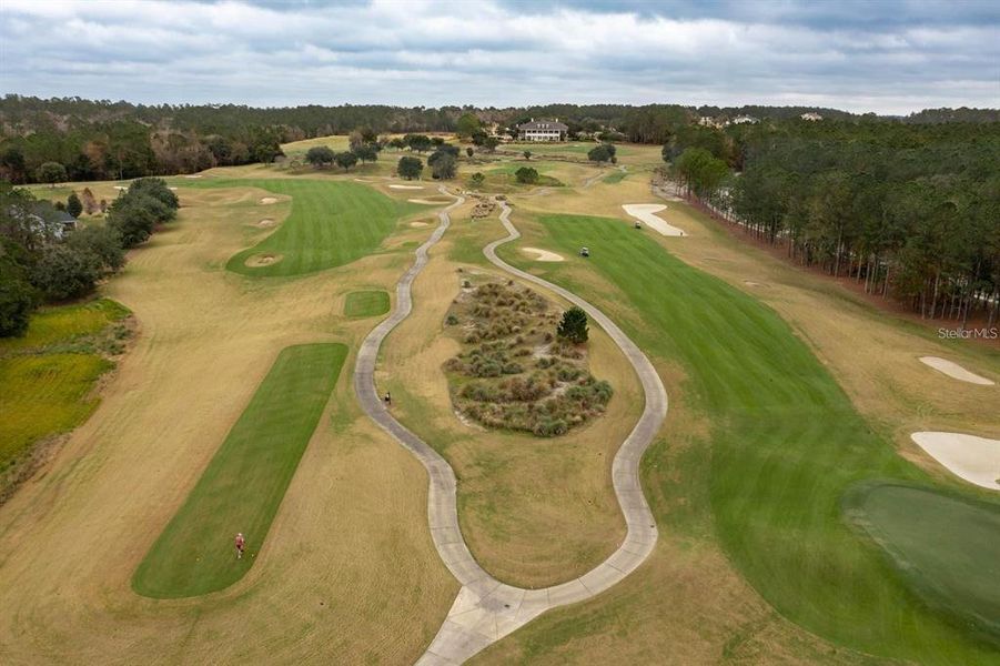 Site preparation for new homesites in Southern Hills Plantation, Brooksville (Image 29).