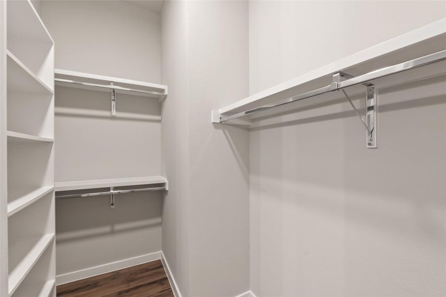 Spacious closet featuring dark wood-style floors
