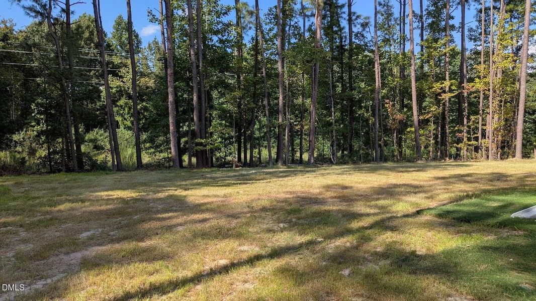 Natural landscape and outdoor views near Harvest Creek in Nashville (Image 26).