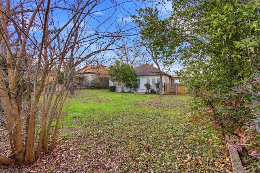 Natural landscape and outdoor views near  in Cleburne (Image 22).