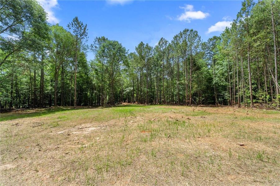 Natural landscape and outdoor views near  in Elberton (Image 25).