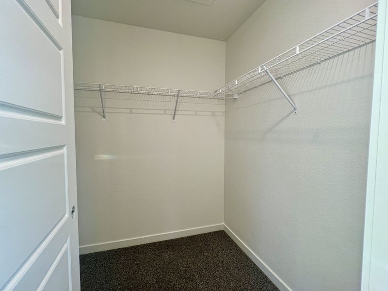 Spacious, unfurnished interior of a new home in Union Colony West, Greeley (Image 13). Spacious, unfurnished interior of a new home in Union Colony West, Greeley (Image 13).