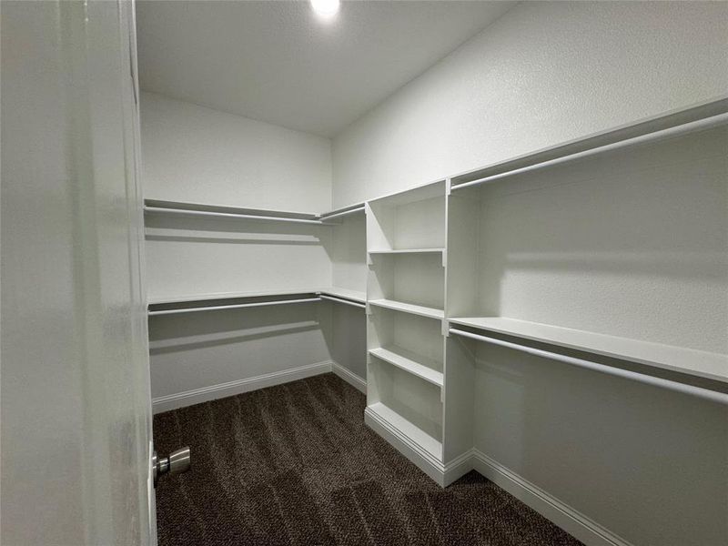 Spacious closet f