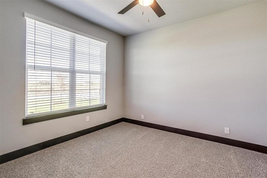 Unfurnished room with carpet and ceiling fan