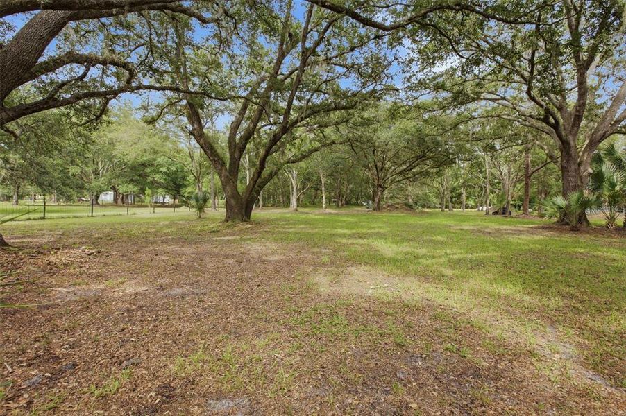 Natural landscape and outdoor views near in Orlando (Image 26). Natural landscape and outdoor views near in Orlando (Image 26).