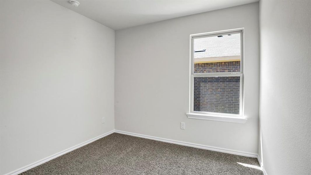 Empty room with dark colored carpet