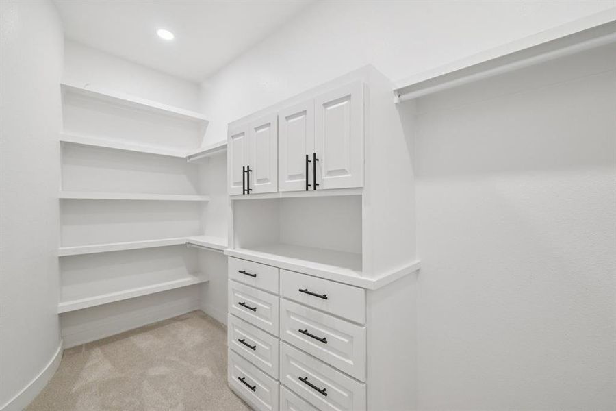 Walk in closet with light colored carpet