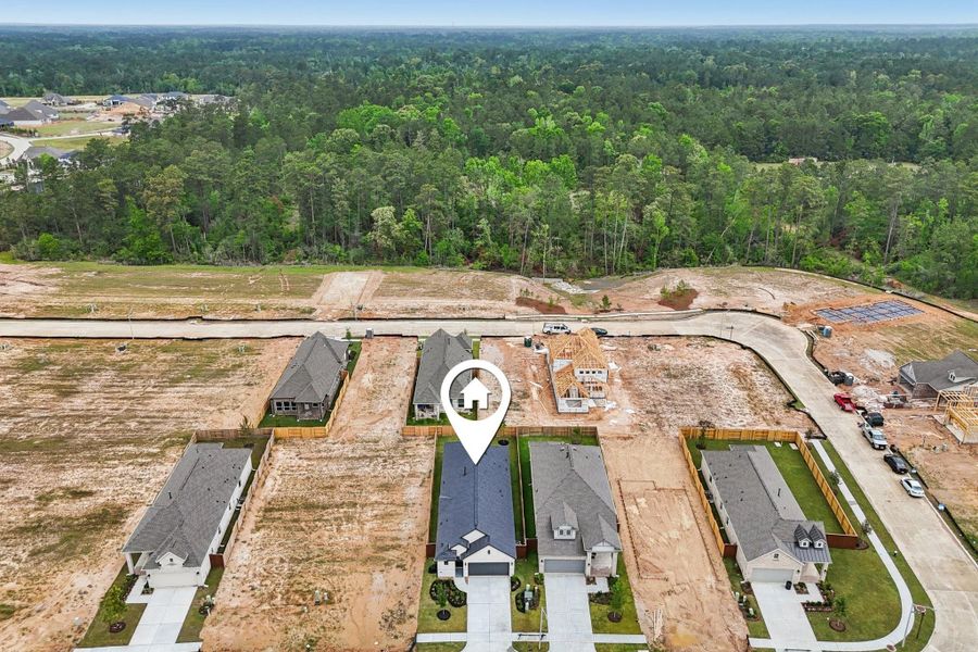 Site preparation for new homesites in Evergreen 40', Conroe (Image 35).